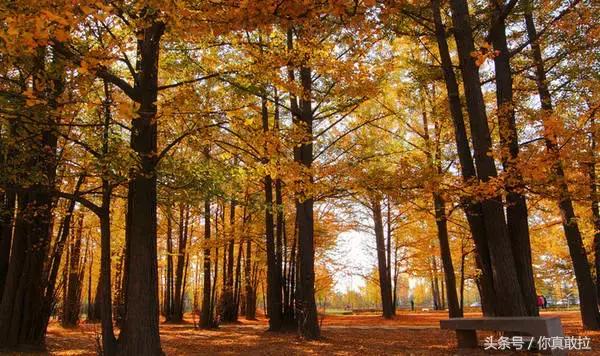 临沂三区九县改成什么了,临沂市三区九县名称