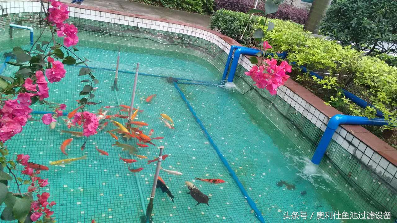 22立方鱼池价格一览表,36平方鱼池建造价格一览表