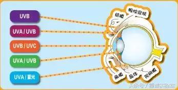 在室内生活适合什么防晒,家居护肤和皮肤管理的区别