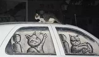 车脏了小妙招,平时车脏了怎么处理