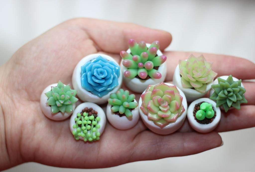 多肉植物真的很好吃吗,多肉植物可以吃的有几种