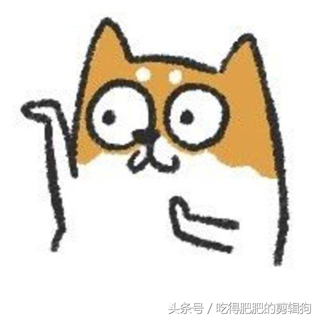 一只胖茶壶的回忆录：我是怎样从3P玩到NP的呢？