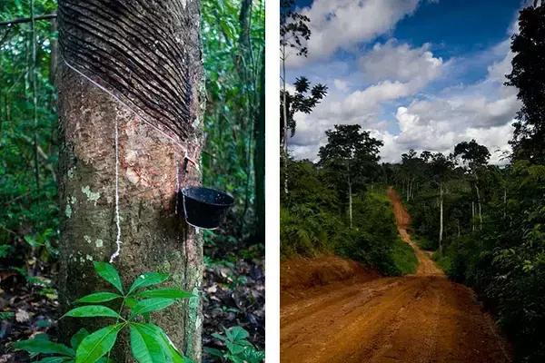 有没有跟vans差不多的,除了匡威耐克vans还有什么鞋