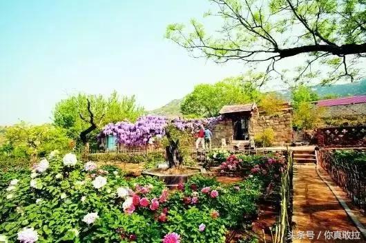 临沂三区九县改成什么了,临沂市三区九县名称