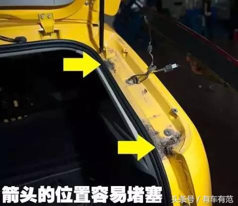 福特福克斯报p0221故障怎么解决,福特福克斯p1408故障码怎么解决