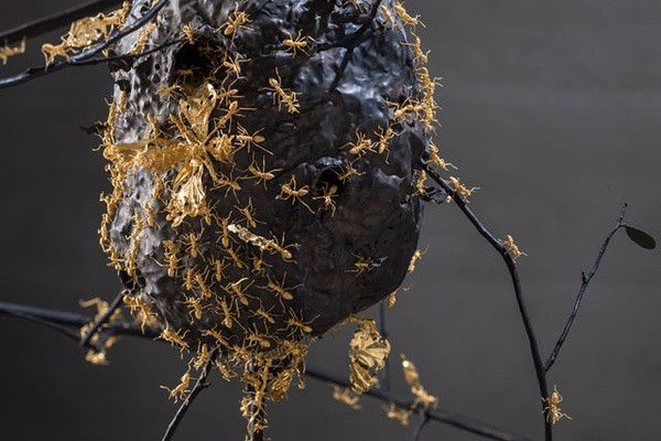 故宫徽州传统工艺,徽州传统工艺故宫特展