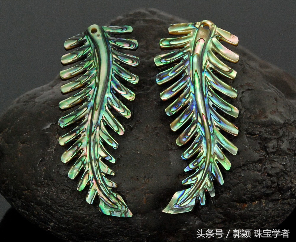 鲍鱼除了吃还代表什么,鲍鱼除了是食物还是什么东西