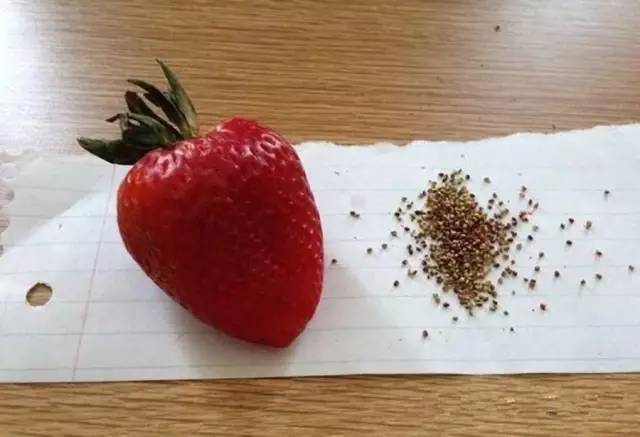 去脸上黑头毛孔最好的方法,油性皮肤黑头多毛孔大怎么改善