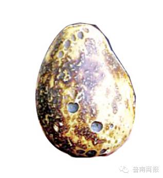 沂水一母猪体内现宝物？价值连城？