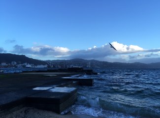 新西兰全景巴士,那些自驾游来不及知道的事儿(北岛+南岛超多公共交通实用信息各类购票详细教程InterCity)