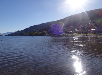 致敬·新西兰OnceisforAll