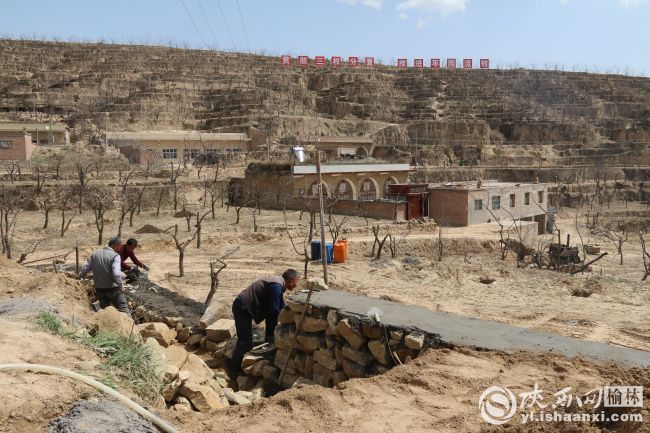 党建引领乡村振兴发展集体经济,党建带动乡村振兴的方法