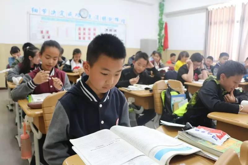 安顺北大培文学校现状,贵阳安顺北大培文学校