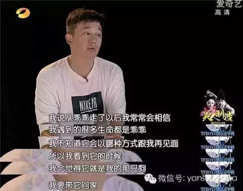 古牧真的很难养吗,古牧被遗弃了