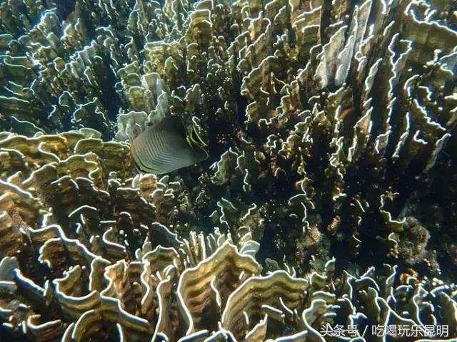 3000玩转泰国2天4夜攻略 (泰国小马尔代夫海岛)