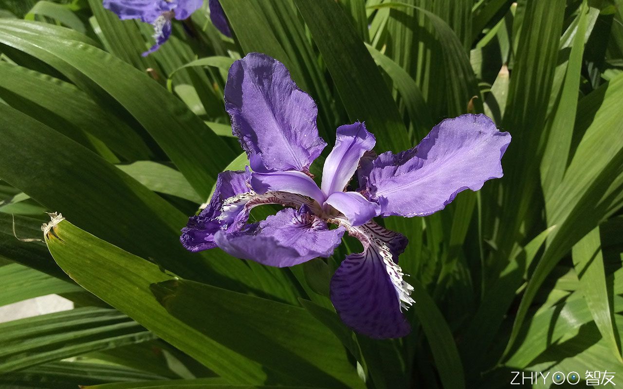 599元可以体验到怎样的魅蓝2,魅蓝e2在2019还可以入手吗