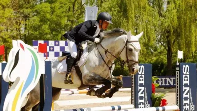 鸟巢之路马术巡回赛,2022鸟巢之路马术比赛观看渠道