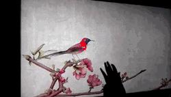 故宫博物院端门数字馆,故宫旅游哪个入口好