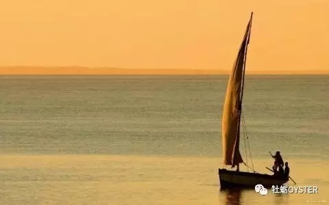 觉知当下正念练习,正念的力量