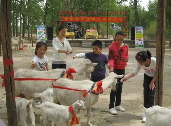 浙江五一旅游攻略亲子游,五一山东小众旅游亲子游