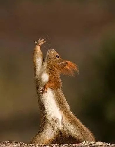 健康养生书单，99本书让你活得长，还要活得好！