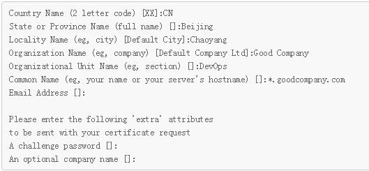nginx域名泛解析详细教程,nginx申请泛域名证书