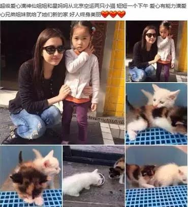 古牧真的很难养吗,古牧被遗弃了