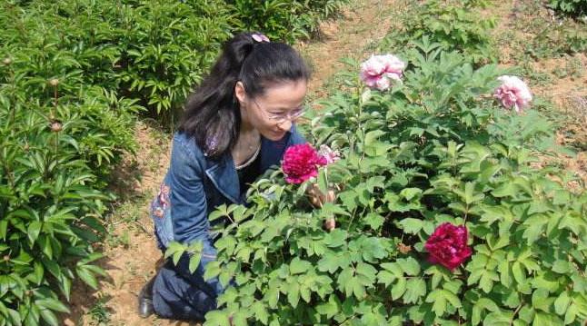 被老公打了怎么办呀,被老公打了怎么办