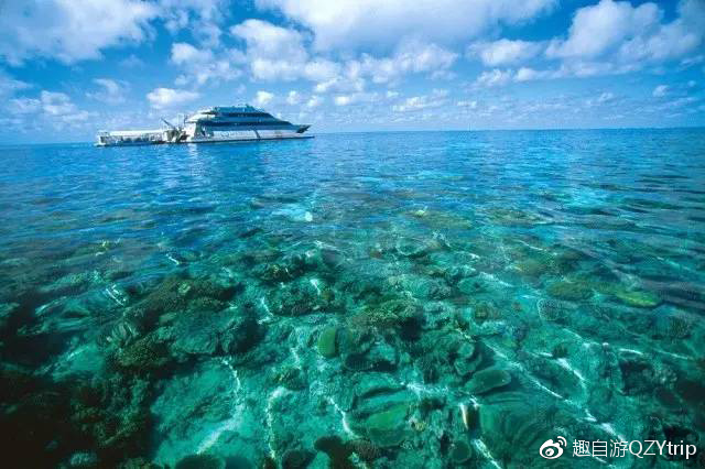 大堡礁技巧,大堡礁刚开始怎么玩