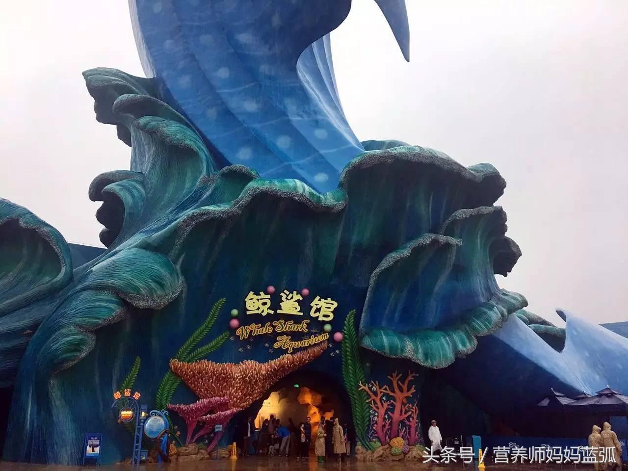 暑假长隆海洋王国游玩感受,海洋王国好玩还是长隆野生动物园