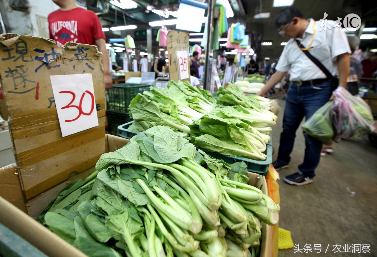蔬菜批发行情为什么这么差,2017蔬菜市场价格预测