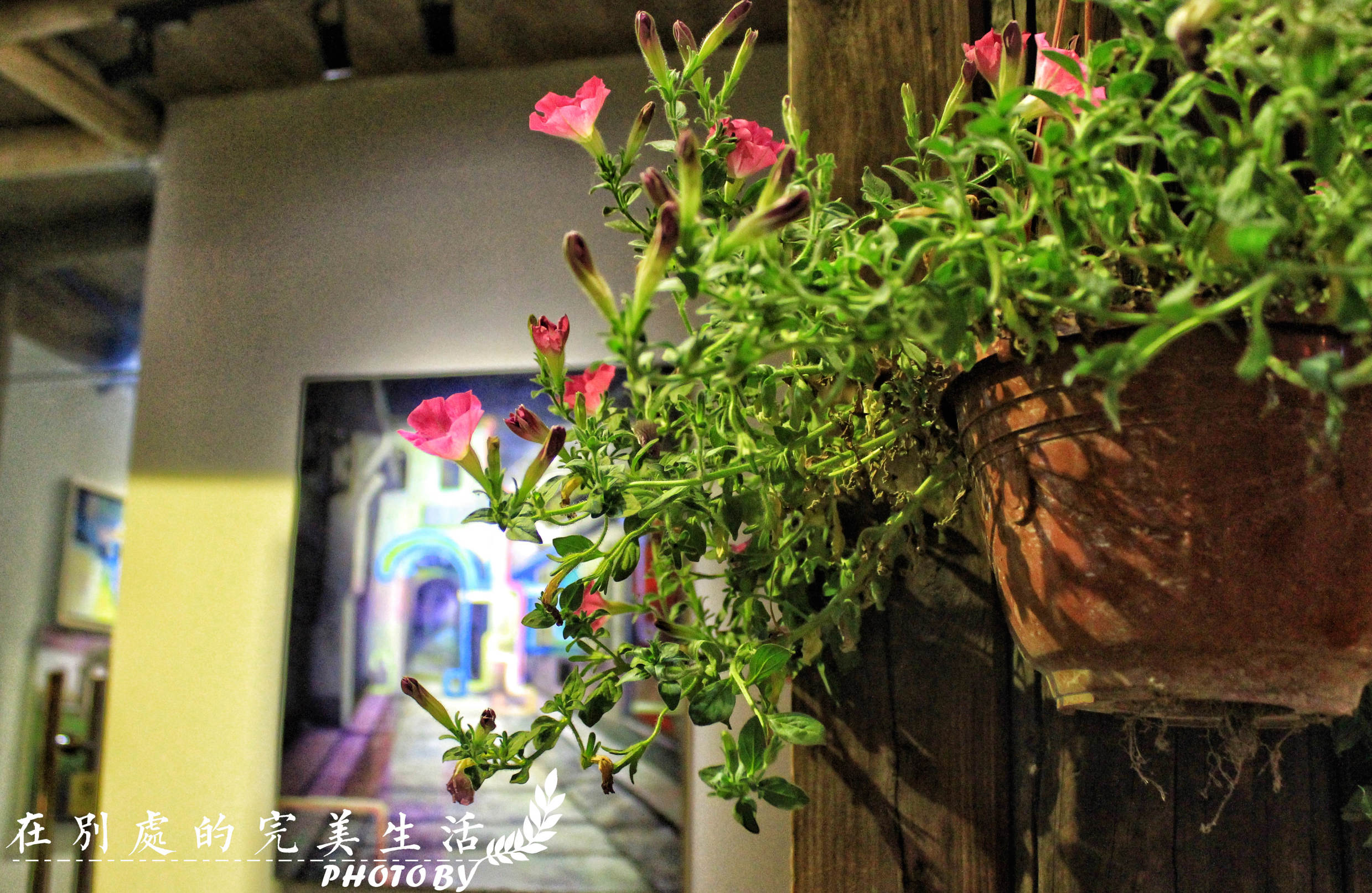 你能想象的美好周末海宁全能满足你