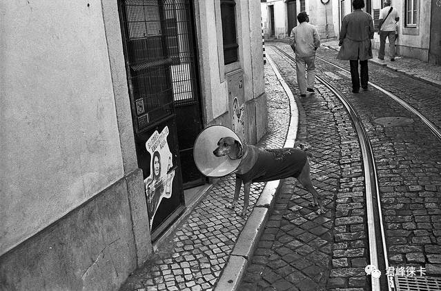 徕卡35mmf1.4各个版本,徕卡复刻的351.4镜头特点