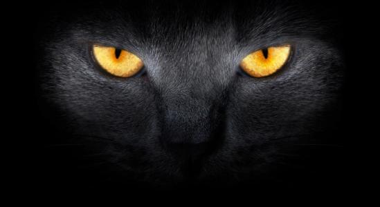 婊℃湀涓轰粈涔堢湅涓嶆竻缁嗚妭,婊℃湀鐪嬭捣鏉ヨ繕鏄槮鐦︾殑