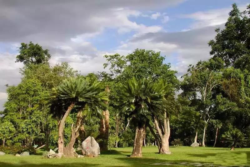 泼水节西双版纳旅游需要注意什么,西双版纳泼水节防晒攻略
