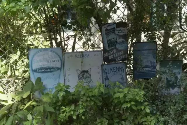 怪不得网红都那么美，原来全靠这些修图技巧，我甘拜下风