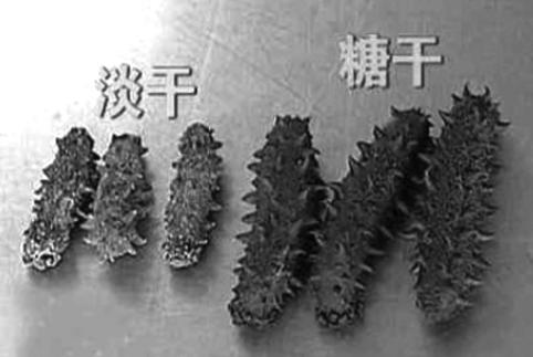 人造海参是真的吗,人造假海参是真的吗