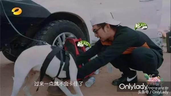 互怼姊妹花?“作”出天际?《花少3》才不是国外联谊辣么简单!