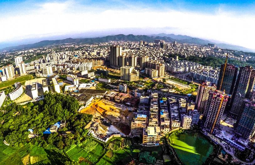 中国桂圆之乡广西博白,广西博白县桂圆柚之乡