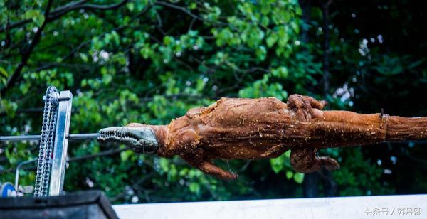 越南背包客旅游地方,越南背包客的穿越之旅