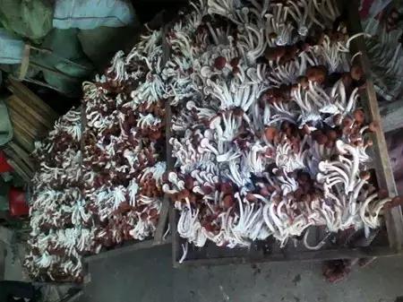 2016-2018年农产品市场需求,2024农产品市场数据分析报告