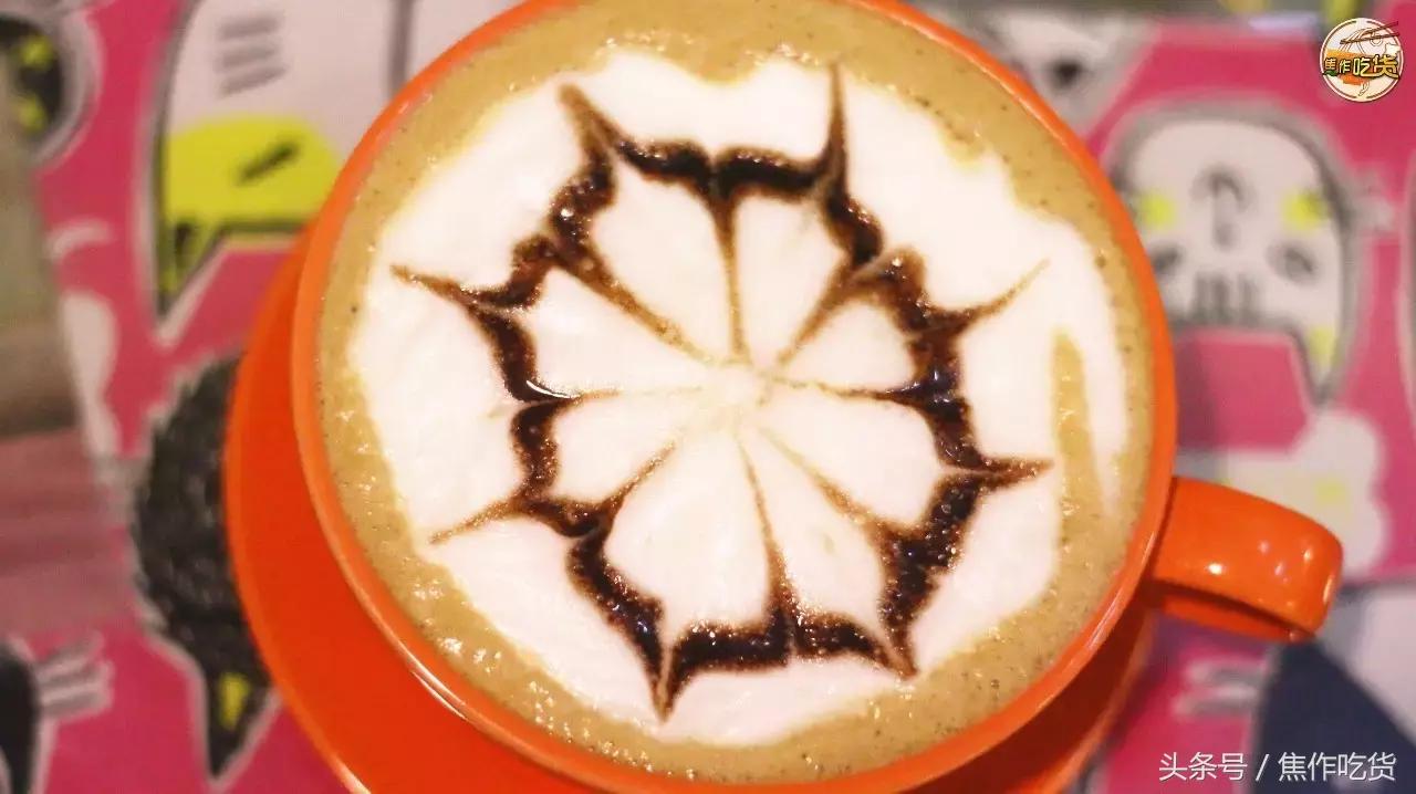 猫咖郑州焦作,焦作猫咖推荐