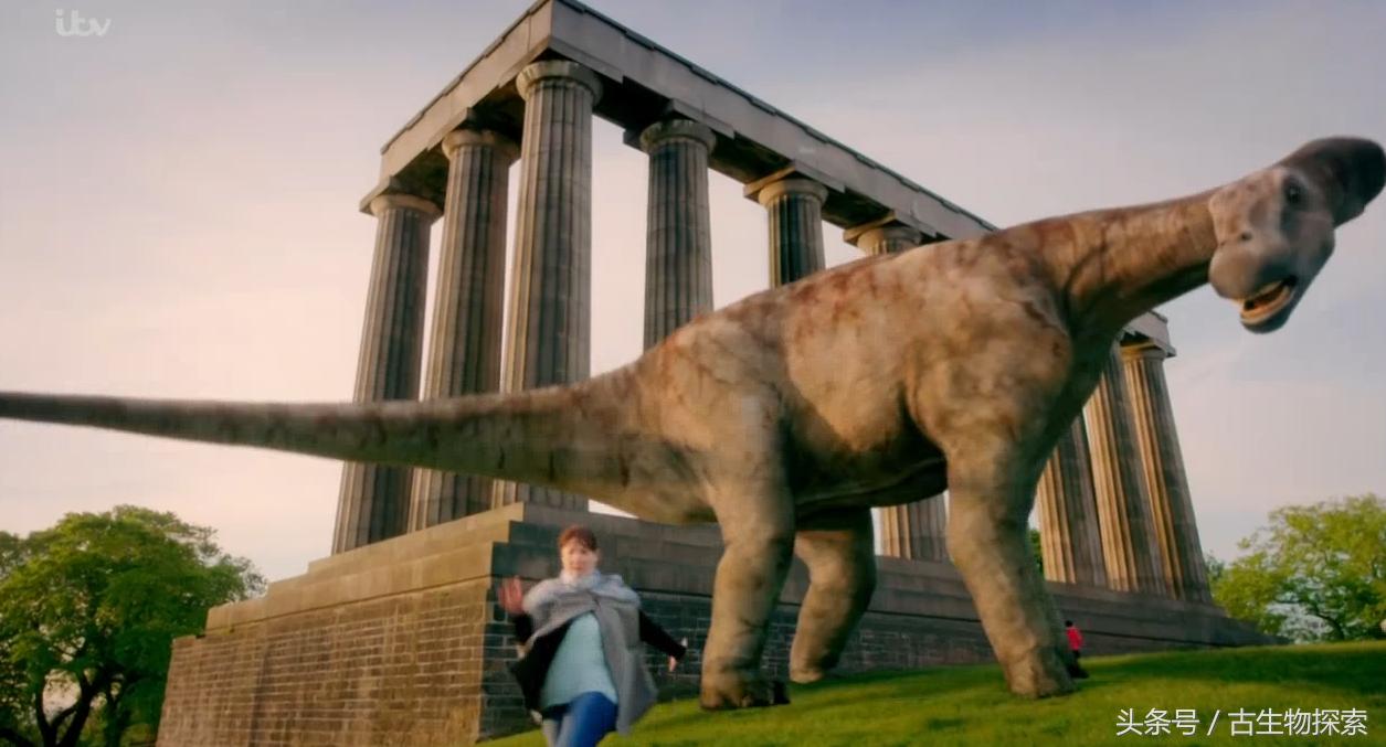 蓝鲸远远超过体型最大的恐龙,海怪的鲸龙视频