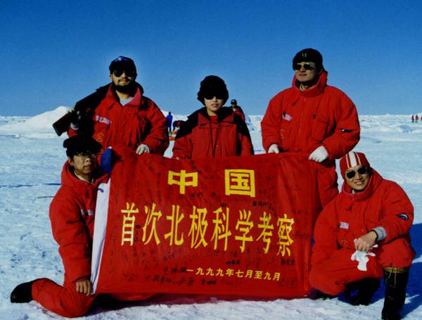 每日花语100句,每日花语蒲公英