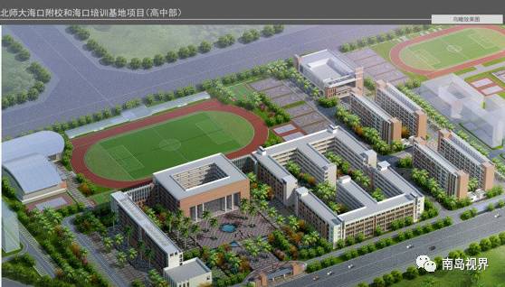 海南回乡创业青年,海南出岛务工的多吗