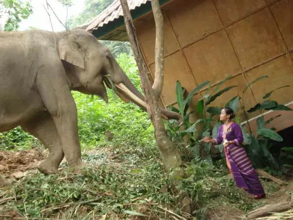 景洪泼水节注意事项,西双版纳泼水节如何不被泼