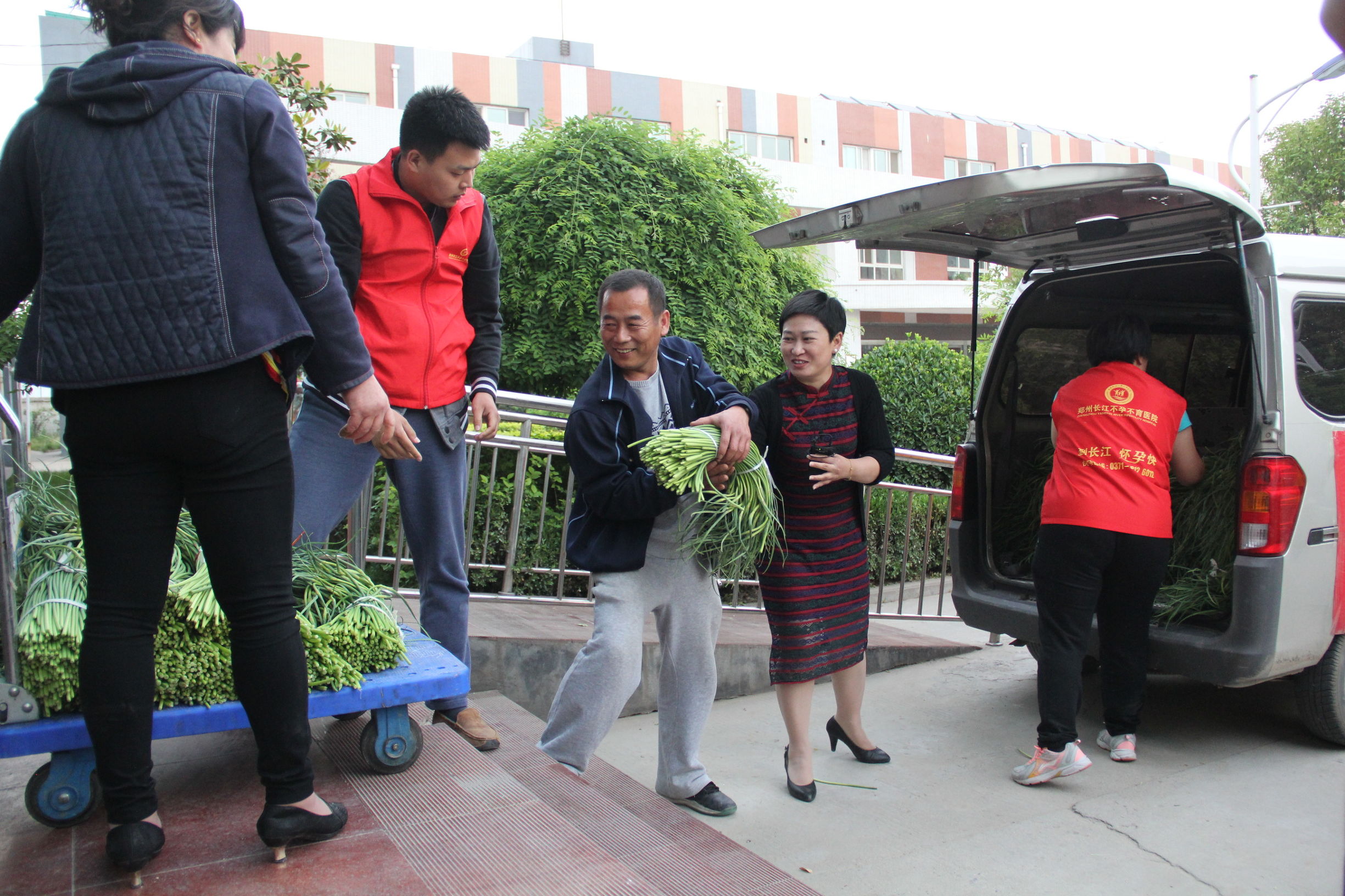 河南蒜薹最新消息,河南蒜薹滞销