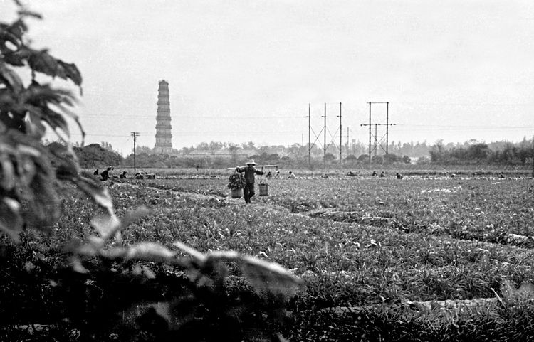 四十年前的广州海珠，有没有你的回忆