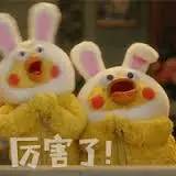 想要有格调就得简单,想要有逼格必须开雅阁