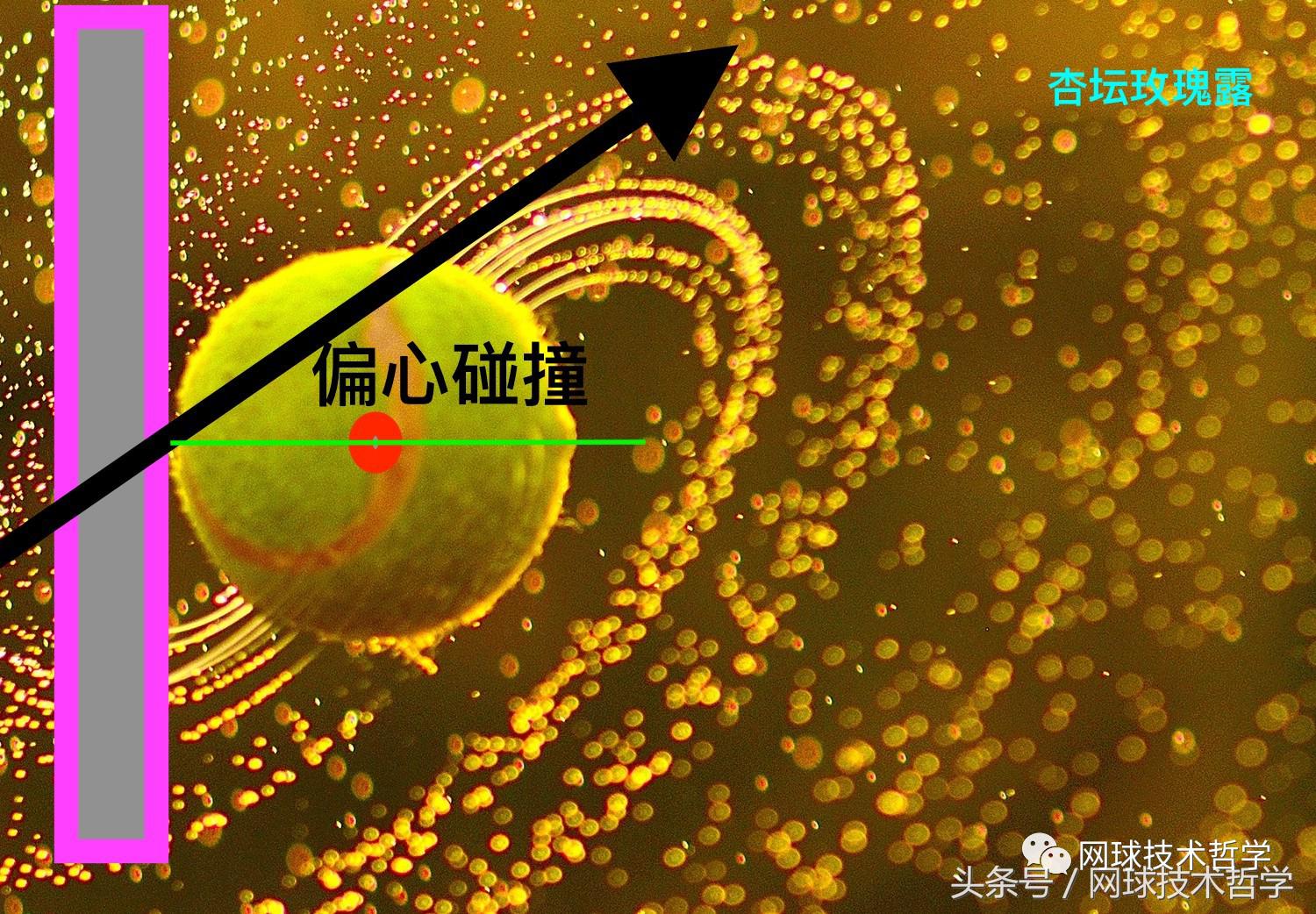 是“摩擦”产生了上旋球吗?偏心碰撞力学说“NO”